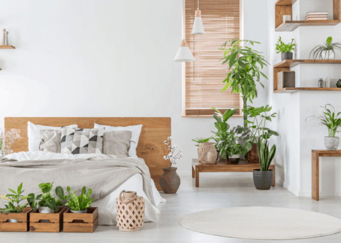 Căn phòng được trang trí cây xanh có công dụng đuổi côn trùng