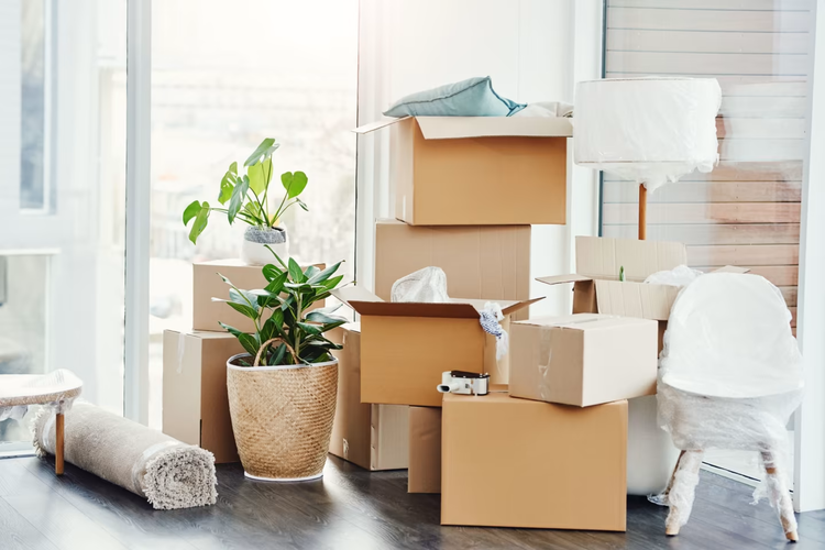 Loại bỏ các vật dụng không cần thiết giúp tủ quần áo thêm gọn gàng và ngăn nắp