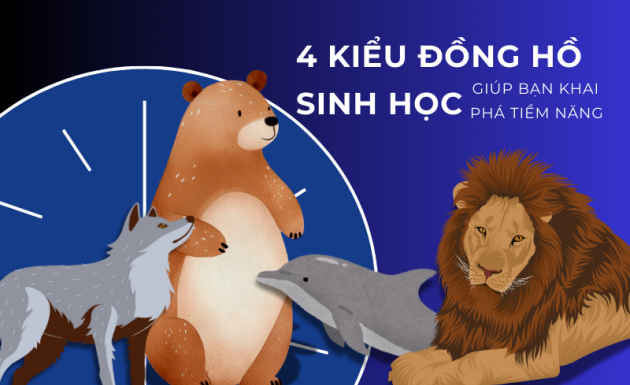 4 kiểu thời gian sinh học: Hiểu đúng để tối ưu năng suất mỗi ngày