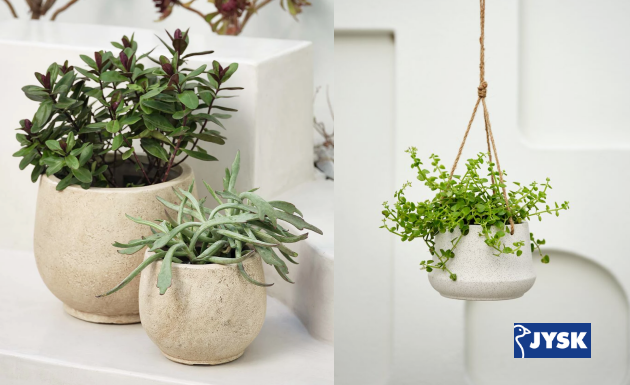 Hướng dẫn: Chọn chậu cây cảnh lý tưởng cho không gian ngoài trời của bạn