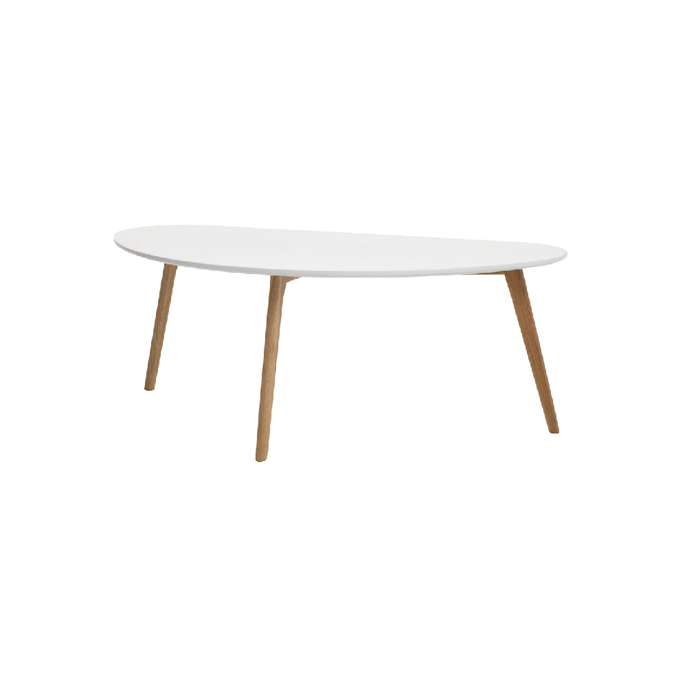 Coffee table LEJRE 60x120 white/oak