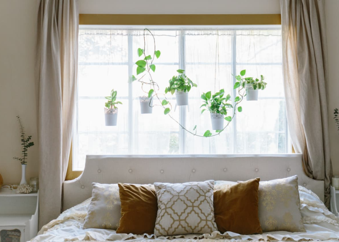  Trang trí cửa sổ phòng ngủ bằng những chậu cây xanh nhỏ nhắn và xinh xắn