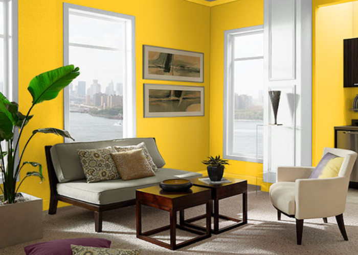 Kết hợp thêm sắc xanh từ các chậu cây để làm nổi bật vẻ đẹp bắt mắt của phòng khách tone vàng