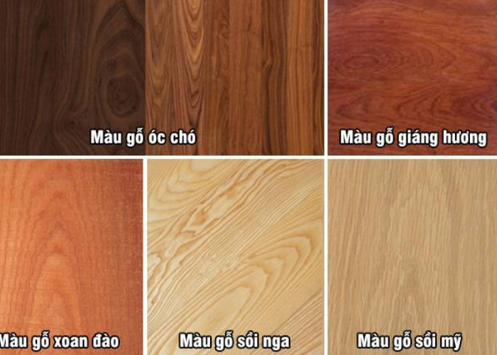 Một số loại màu gỗ tự nhiên mà bạn có thể tham khảo