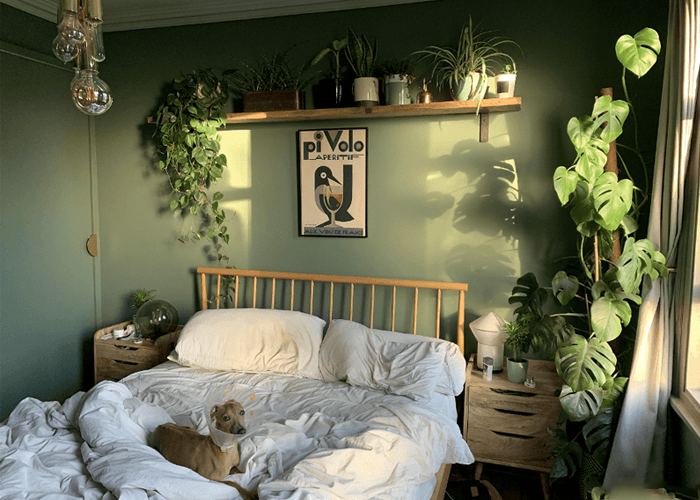 Mẫu phòng ngủ ấn tượng với sự kết hợp của màu xanh cây cảnh cùng với màu nâu của đồ nội thất