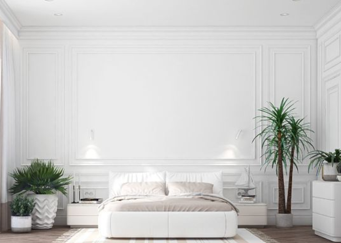 Trang trí phòng ngủ cho nam với cây xanh nổi bật trên nền tường trắng tạo cảm giác tươi mới, trẻ trung.  