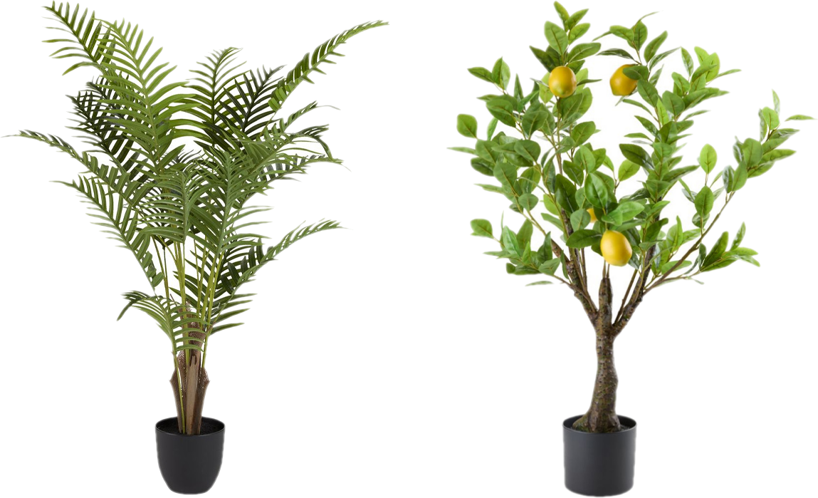 Cây trang trí là những sản phẩm giúp không gian ban công, sân vườn trở nên thư giãn hơn