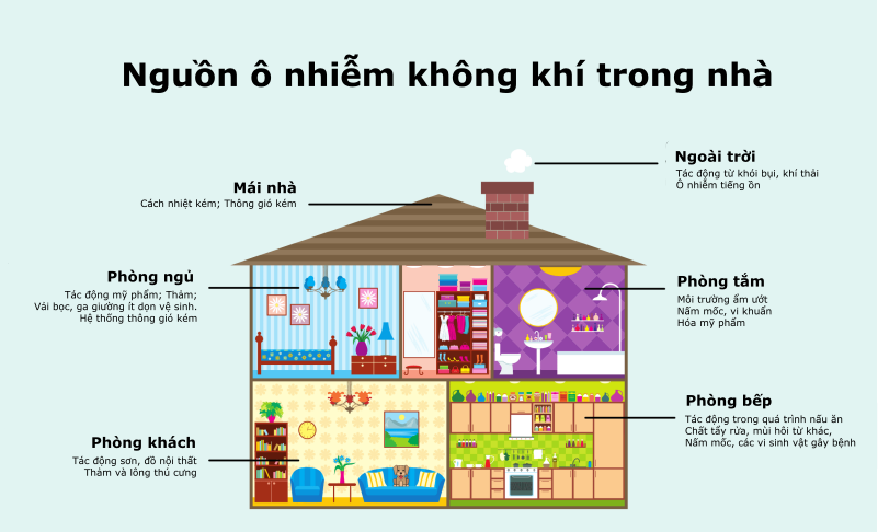 Chất lượng môi trường sống suy giảm do các nguồn ô nhiễm ngay chính trong ngôi nhà của chúng ta