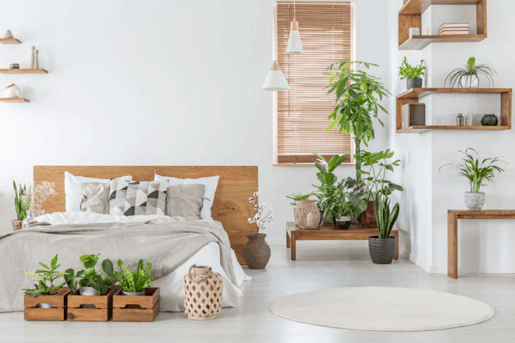 Trang trí phòng ngủ bình dân với các chậu cây xanh mini, làm tăng thêm sức sống cho căn phòng