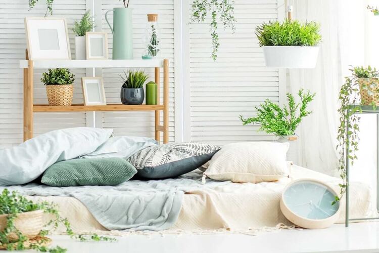 Mẫu trang trí phòng ngủ bình dân với đa dạng loại cây xanh, tăng thêm sức sống