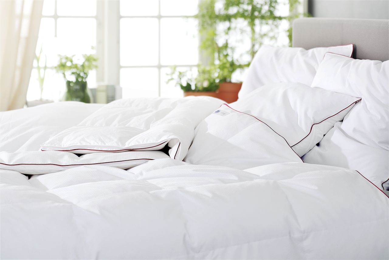 Mẫu phòng ngủ với bộ chăn ga gối màu trắng đơn giản, nhẹ nhàng