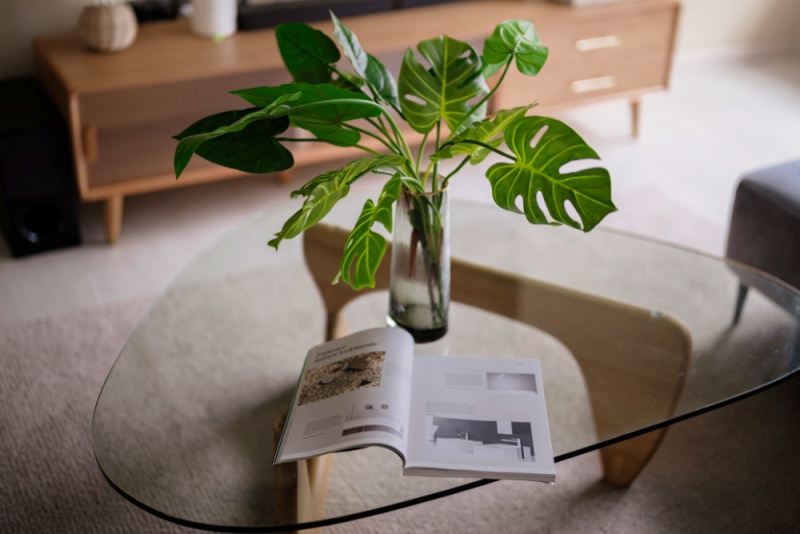 C&acirc;y Trầu B&agrave;