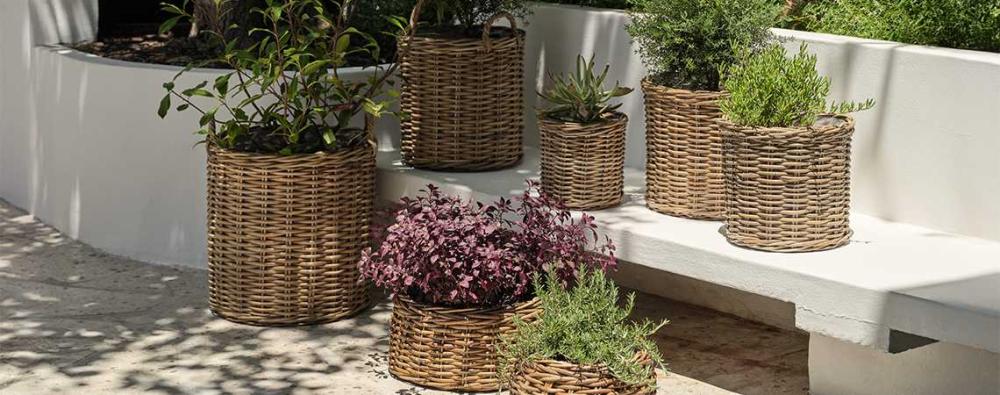 Hướng dẫn chọn mua chậu c&acirc;y ngo&agrave;i trời