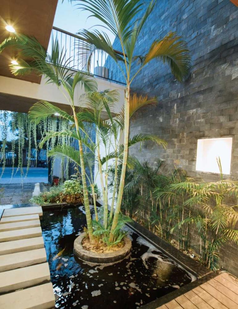 Tiểu cảnh s&acirc;n vườn nước
