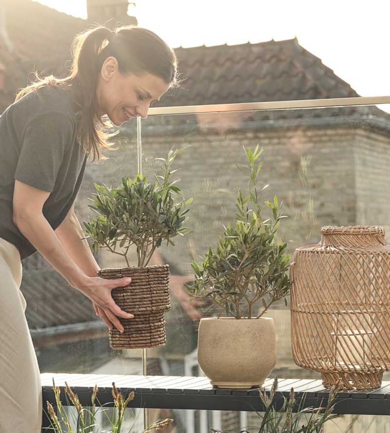 Lựa chọn vật liệu ban c&ocirc;ng s&acirc;n vườn