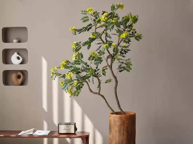 Trang trí một chậu cây Giáng Hương là một ý tưởng làm cho căn phòng trở nên độc đáo