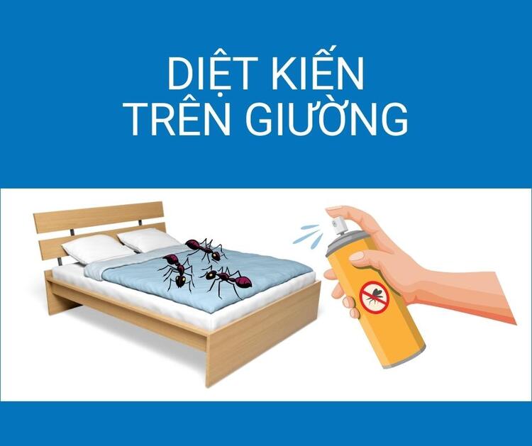 Một số lưu &yacute; m&agrave; bạn cần biết khi diệt kiến tr&ecirc;n giường