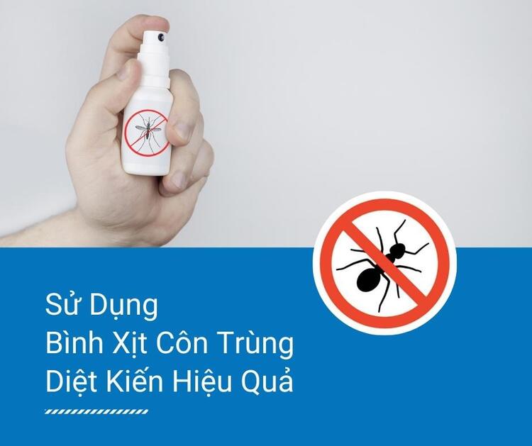 Ti&ecirc;u diệt kiến tr&ecirc;n giường hiệu quả nhờ b&igrave;nh xịt c&ocirc;n tr&ugrave;ng