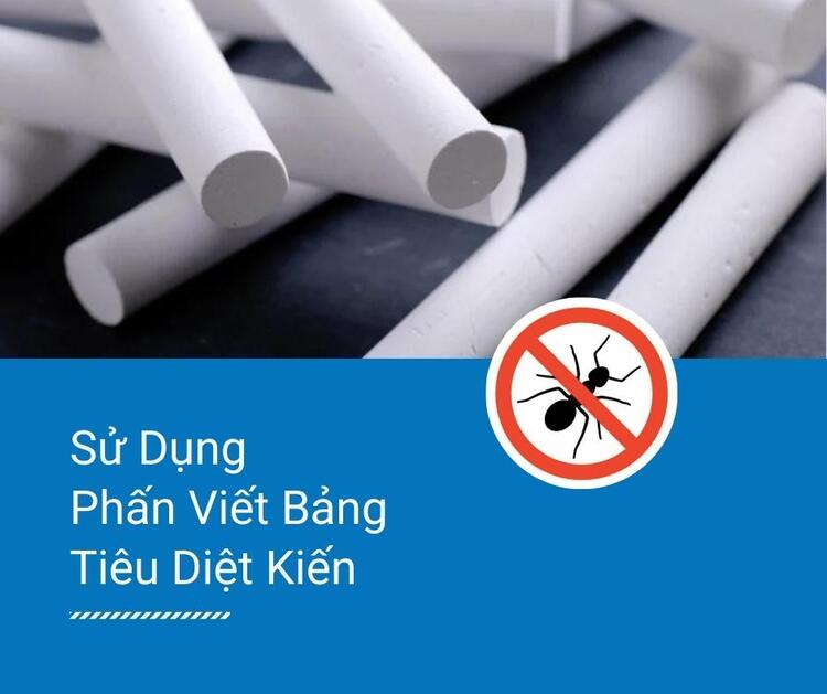 Sử dụng phấn viết bảng, một trong những c&aacute;ch đuổi kiến hiệu quả