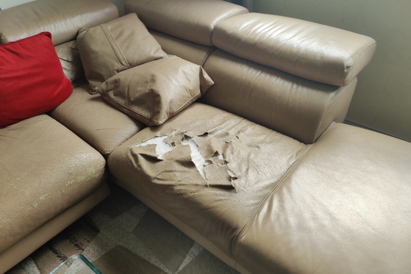 ghế sofa tr&oacute;c da