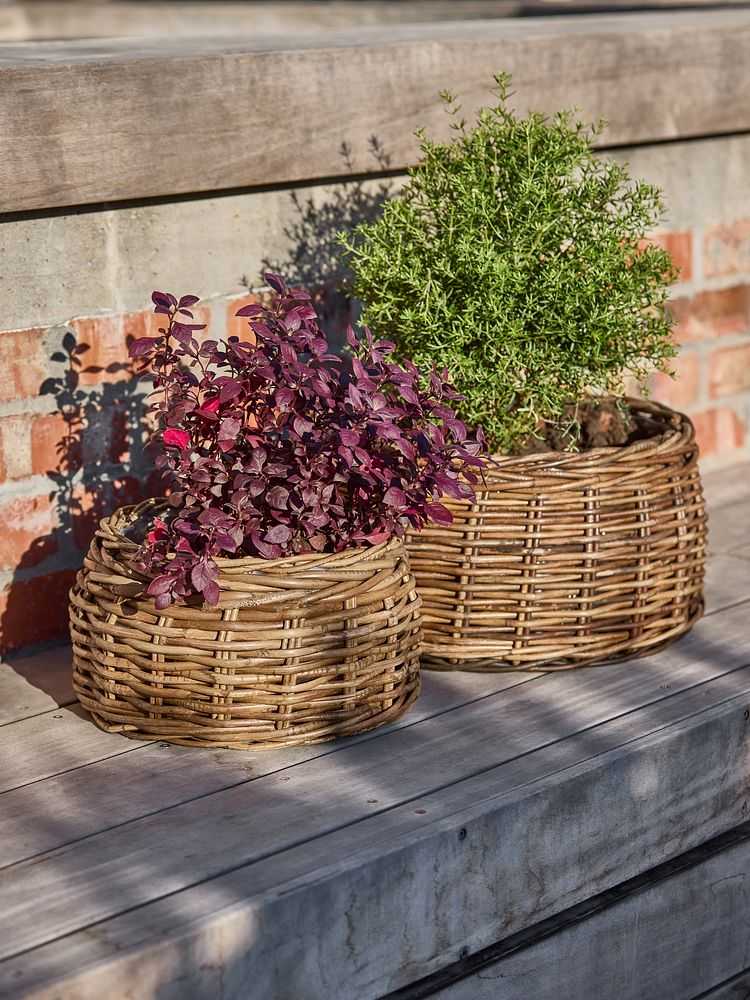 Những chậu cây, chậu hoa sẽ được sử dụng nhiều khi trang trí ban công theo phong cách vintage.