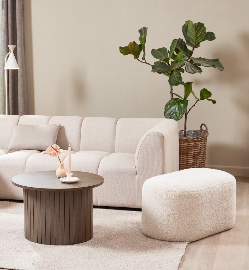 Gối trang trí và sofa 2-3 chỗ ngồi phù hợp với phòng khách hẹp ngang