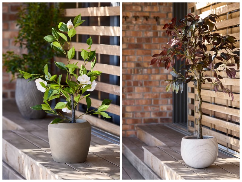 Cây trang trí giúp tăng vẻ đẹp tự nhiên cho phòng khách hẹp ngang