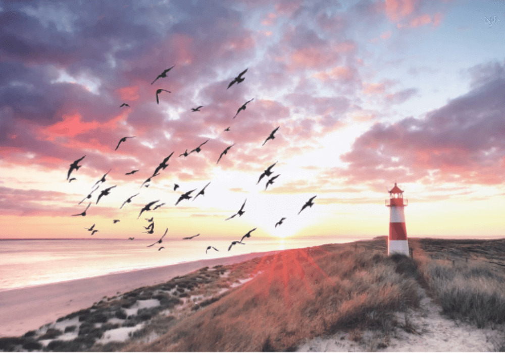 Tại JYSK c&oacute; rất nhiều mẫu tranh phong thủy ph&ograve;ng kh&aacute;ch đẹp mắt