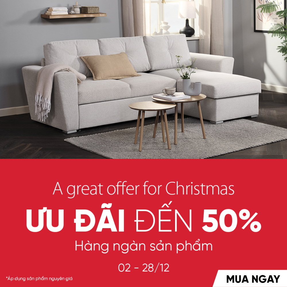 A GREAT OFFER FOR CHRISMAS T1225