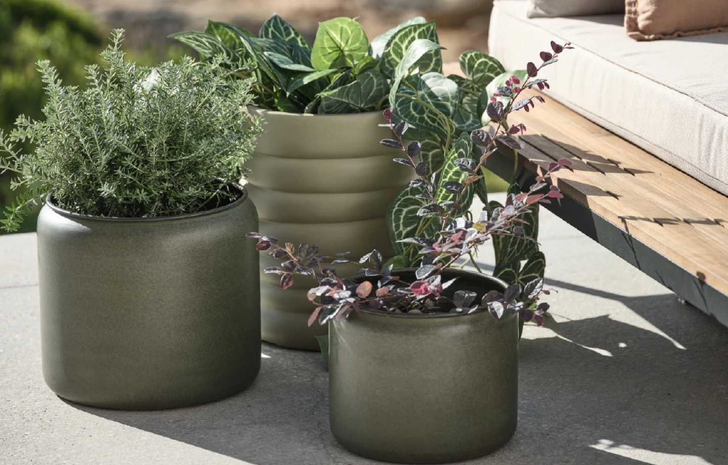 Hướng dẫn: Chọn chậu cây ngoài trời lý tưởng cho không gian khu vườn của bạn