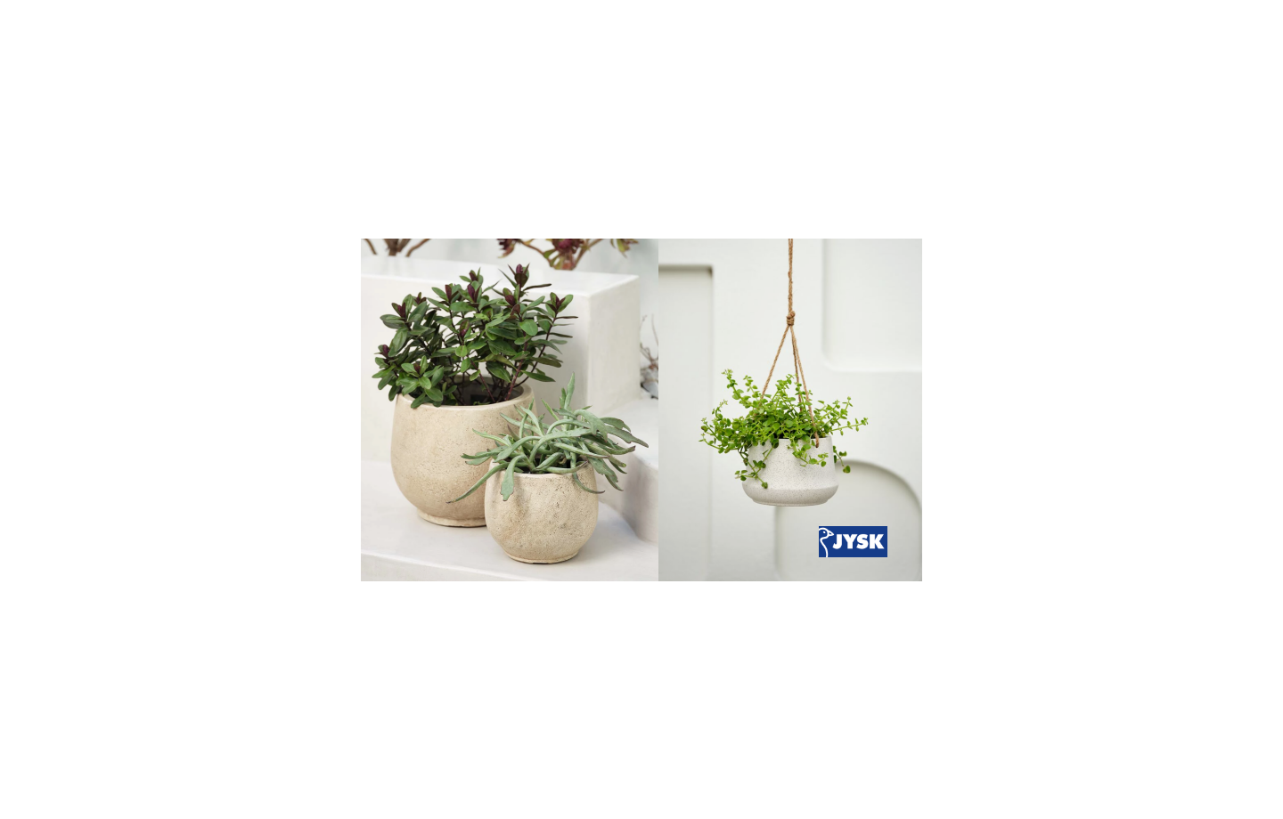 Hướng dẫn: Chọn chậu cây cảnh lý tưởng cho không gian ngoài trời của bạn