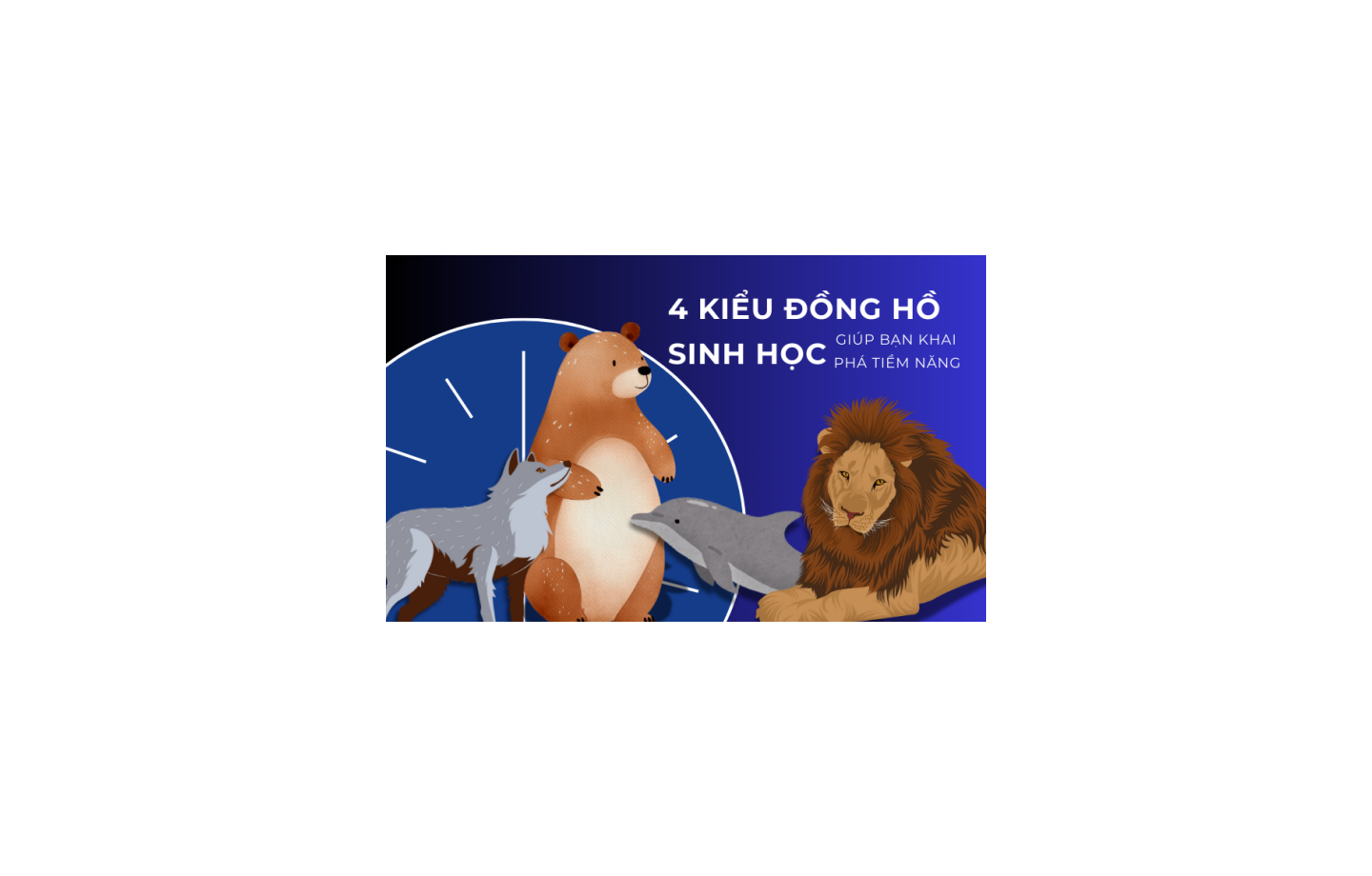 4 kiểu thời gian sinh học: Hiểu đúng để tối ưu năng suất mỗi ngày