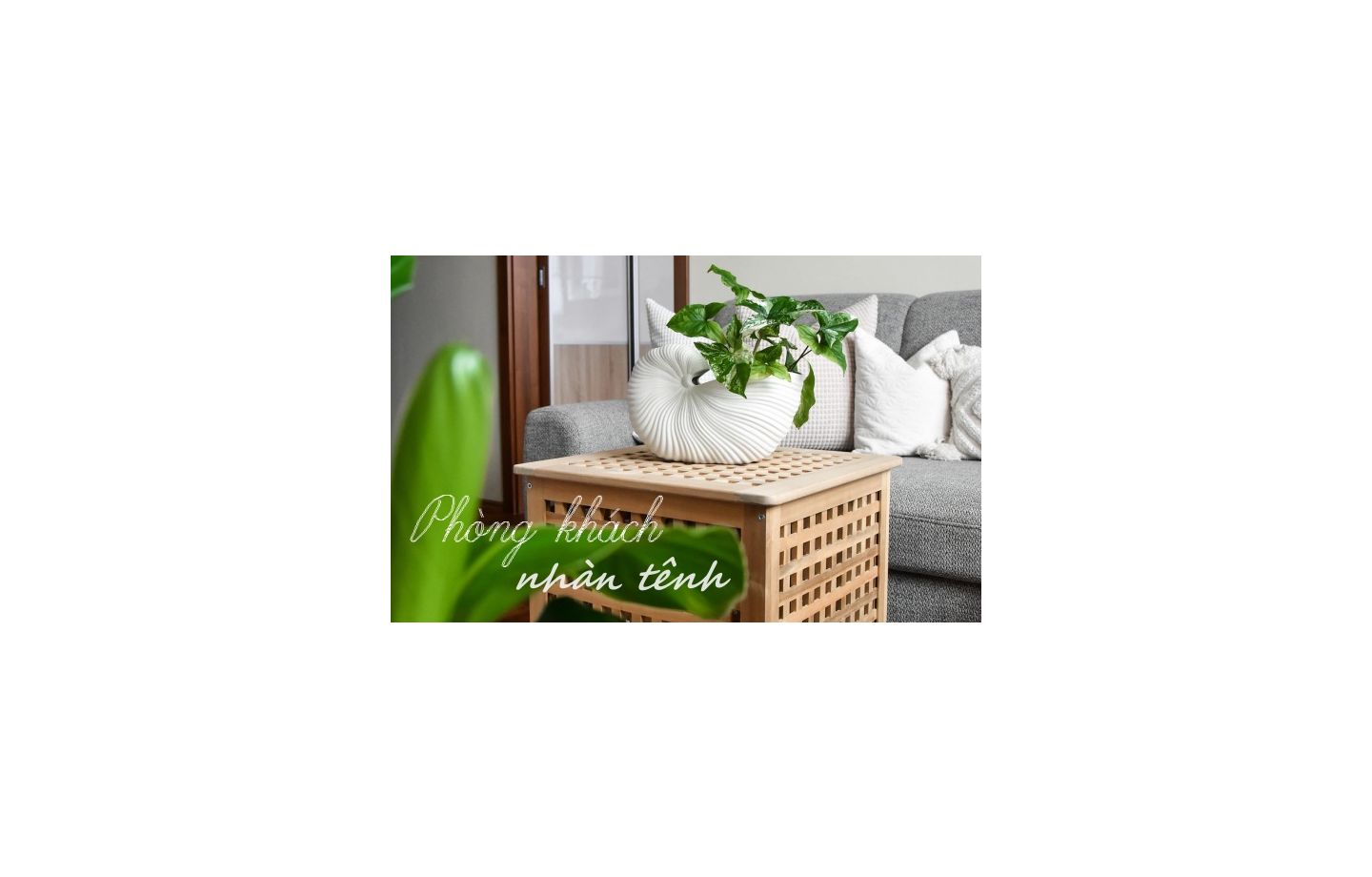 30+ Mẫu bàn ghế gỗ phòng khách giá 5 triệu hiện đại bền đẹp