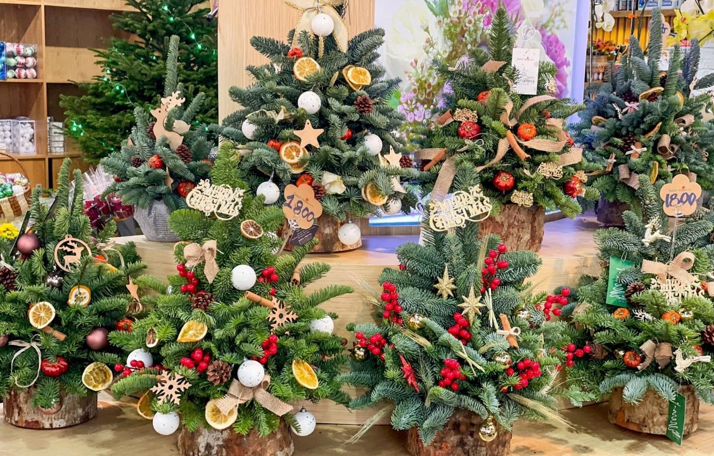 Top 20 mẫu cây thông noel mini để bàn được ưa chuộng làm quà tặng