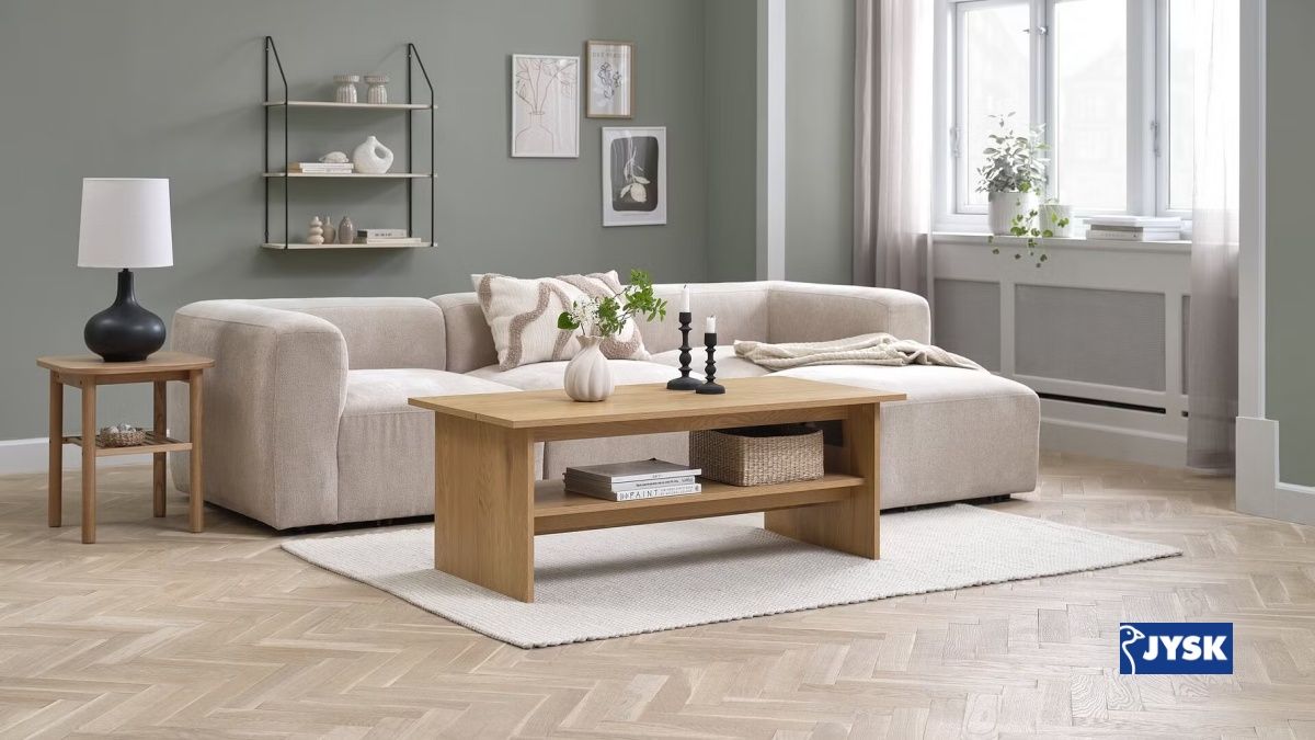 35 cây cảnh trong nhà dễ trồng, giúp thanh lọc không khí và làm đẹp không gian