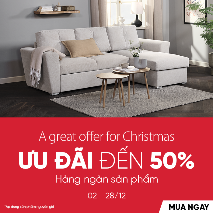 A GREAT OFFER FOR CHRISMAS T1225