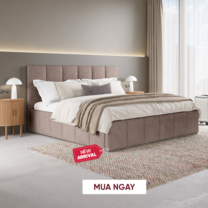 3 - NEW ARRIVAL T6