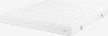 Nệm lò xo | STRIA PS25 VF DREAMZONE | R160xD200xC19cm