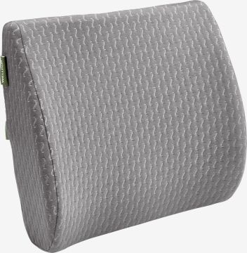 Gối lưng memory foam | WELLPUR RYGGE | xám | R34xD36xC6/12cm