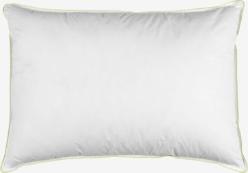 Ruột gối polyester | OKSHORNET | trắng/xám | R50xD70cm | 800gr 