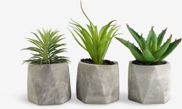 Cây trang trí | TORGEIR | nhựa/ ximang | nhiều màu | R8xD8xC19cm
