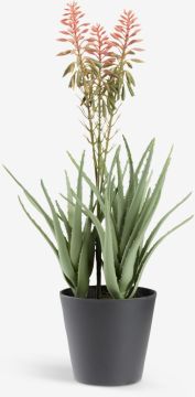 Cây trang trí | RASMUS | nhựa PE/thép | xanh lá/đỏ | C51cm