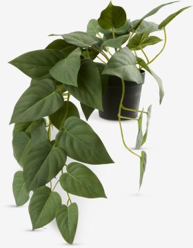 Cây trang trí | ANDERSEN | nhựa PE/xi măng | xanh lá | R33xD43xC20cm