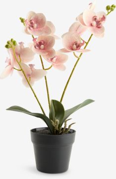 Cây trang trí | GUDJON | nhựa PE/thép | hồng | Ø9xC35cm