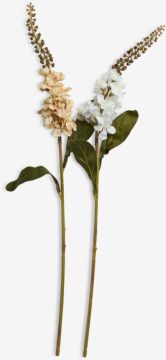 Hoa trang trí | ALEX | nhựa PE/polyester | be | C66cm