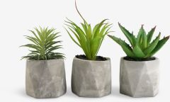 Cây trang trí | TORGEIR | nhựa/ ximang | nhiều màu | R8xD8xC19cm