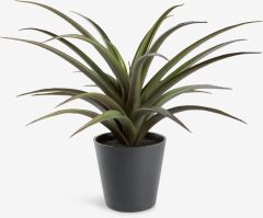 Cây trang trí | FREIDIG | đất sét/PE | đỏ thẫm/xanh đậm | Ø36xC34cm