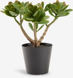 Cây trang trí | JOSTEIN | nhựa PE/thép | xanh lá | R20xD20xC23cm
