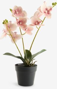 Cây trang trí | GUDJON | nhựa PE/thép | hồng | Ø9xC35cm