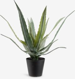 C&acirc;y trang tr&iacute; | CELIUS | nhựa PE/PP | xanh l&aacute; | &Oslash;30xC39cm